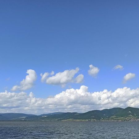 Vila Babakaj Golubac Exteriér fotografie